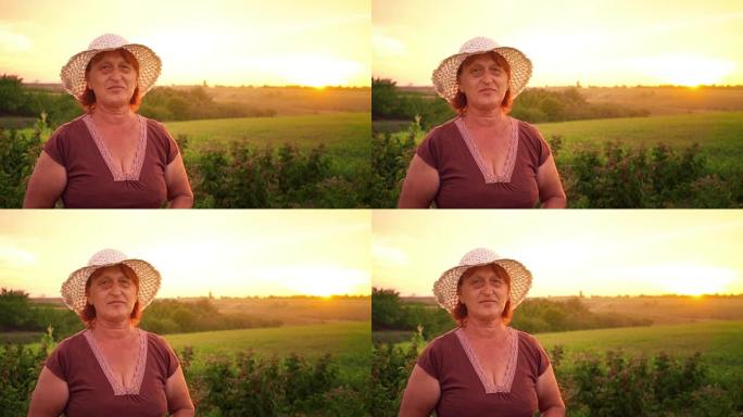 一位穿着棕色t恤和白色帽子的老年妇女的肖像在夕阳下，该妇女看着相机微笑着，傍晚在种植园上的收获工人