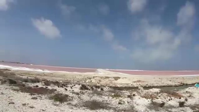 博内尔岛上的盐开采