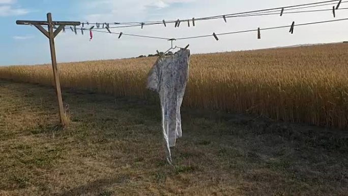 一件被微风吹拂的碎花连衣裙，可以看到田野