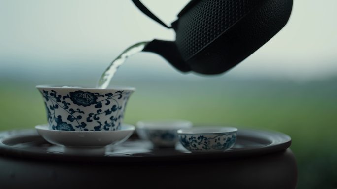 泡茶特写 倒茶 品茶 茶园品茶 品茗