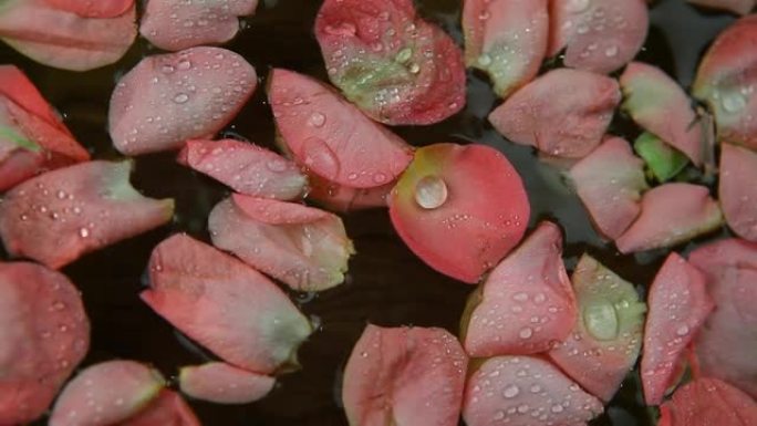 花瓣玫瑰水滴