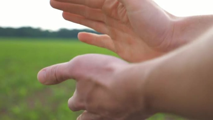 一名男性农民在辛勤劳作后与身后的绿色玉米芽握手。人的手臂在农场里互相打打擦擦。带有年轻植被的大片区域