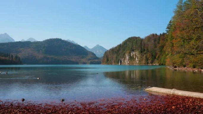 高山湖泊的美丽全景。它位于德国巴伐利亚州施旺高的新天鹅堡和Hohenschwangau城堡附近。