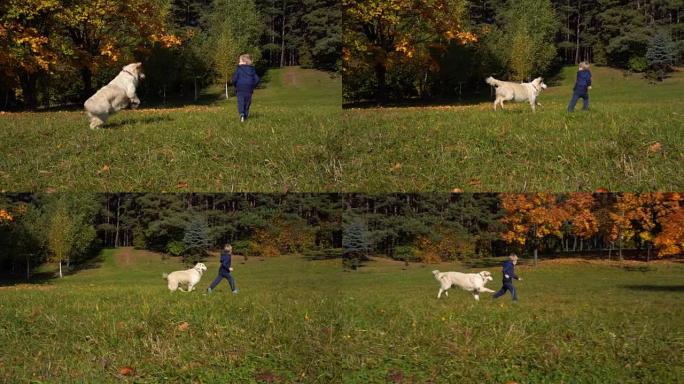 欧洲模样的快乐小男孩在秋天的公园里玩得很开心，有一只漂亮的大狗 -- 慢动作