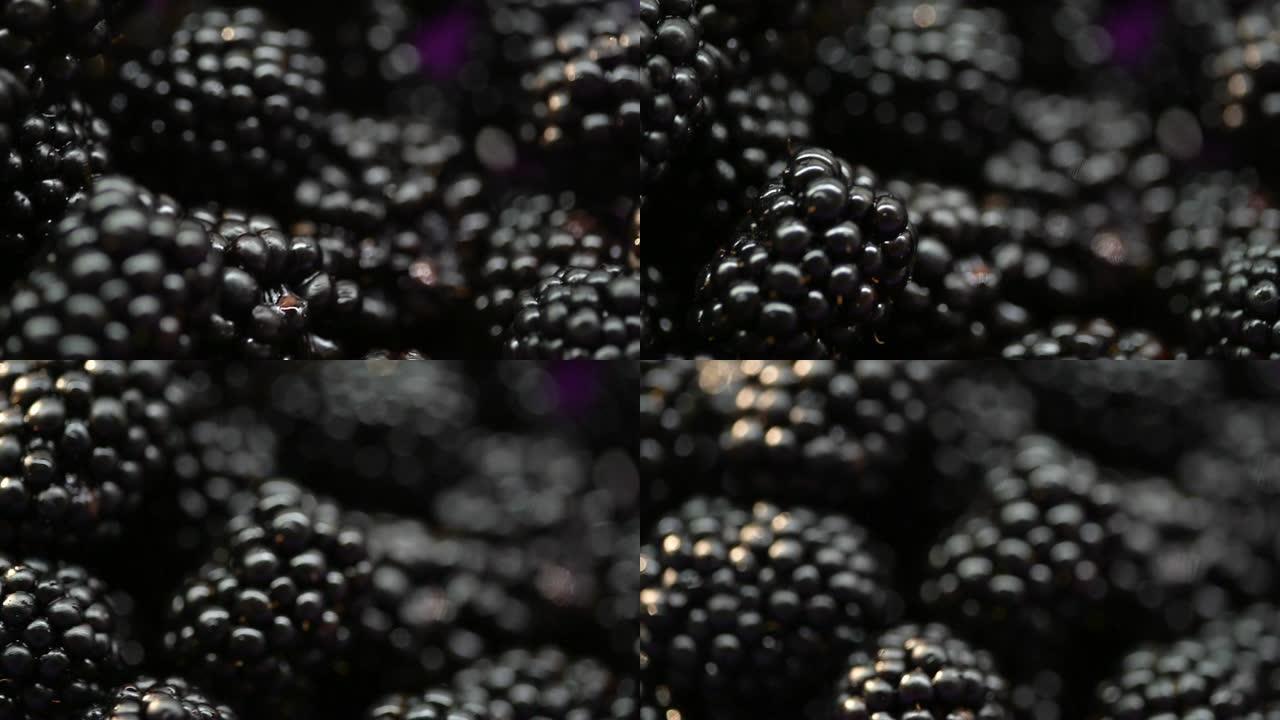 黑莓宏