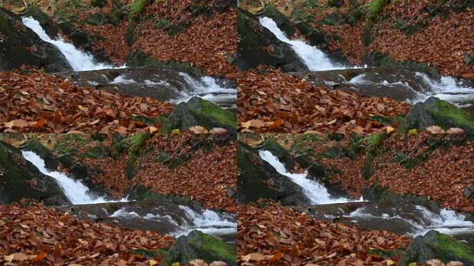 秋天森林中的瀑布