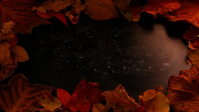 黑色黑板秋季叶子工作室镜头高清