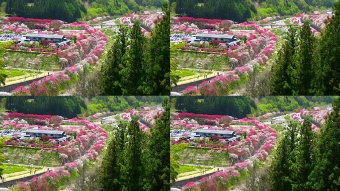 日本风景日本风景