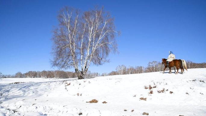 冬天草原雪地上骑马的牧民视频