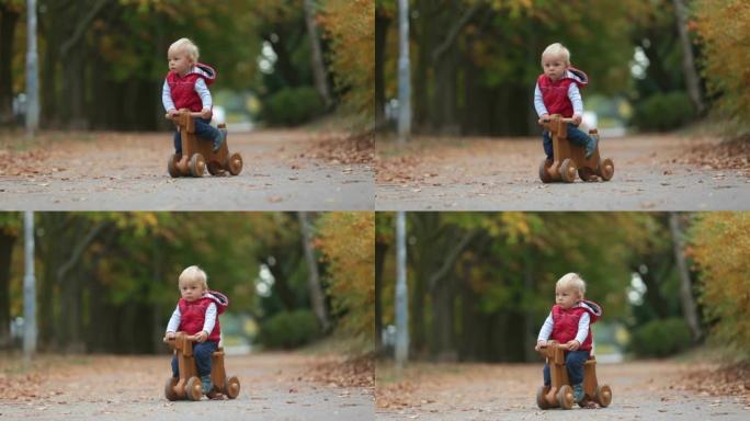 带着泰迪熊的蹒跚学步的小男孩，在阳光明媚的温暖的秋天公园骑木制狗平衡自行车，儿童休闲活动和幸福理念