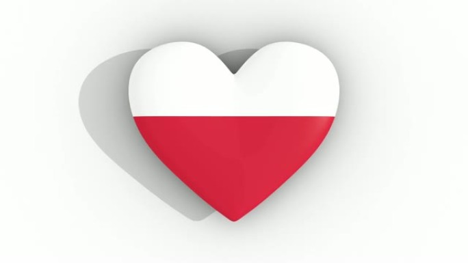 波兰国旗颜色的脉动心，白色背景，3d渲染顶部，循环
