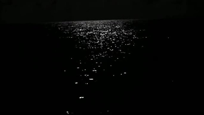 夜海反射着明亮的月光