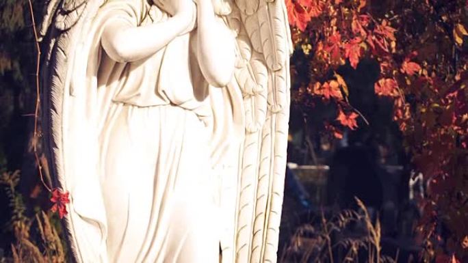 天使雕像全景视频