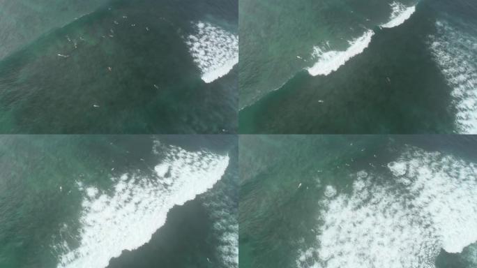 航拍画面，在印度洋冲浪时划着海浪的冲浪者无人机的俯视图，4k