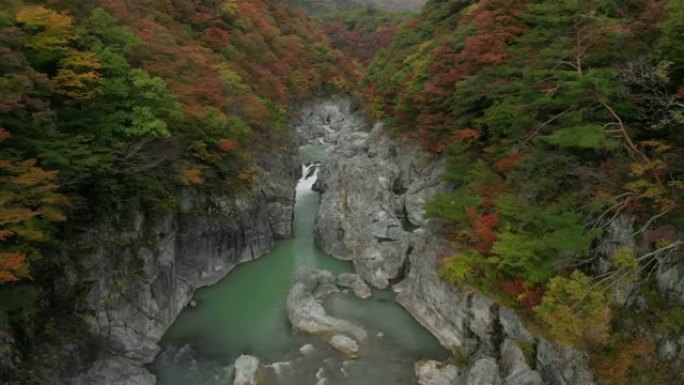 日本to木日光龙京谷和秋叶的鸟瞰图