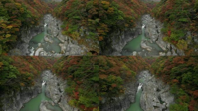 日本to木日光龙京谷和秋叶的鸟瞰图