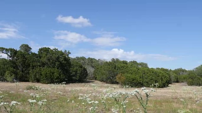 相机在德克萨斯州开放的农场土地上平移