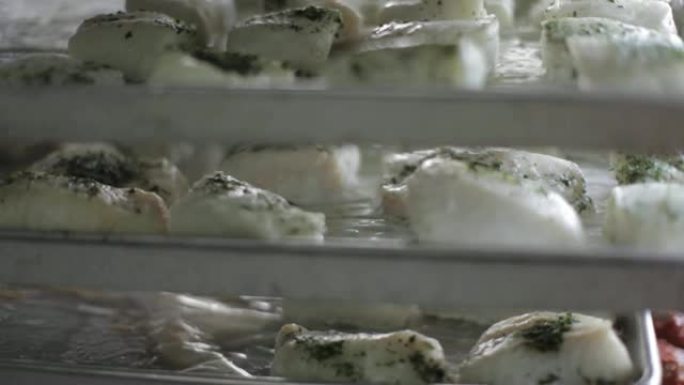 商用厨房食品制备-轻质白色鱼片