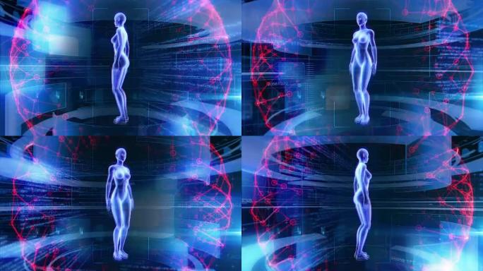 人体女性解剖学3D动画生物科学技术