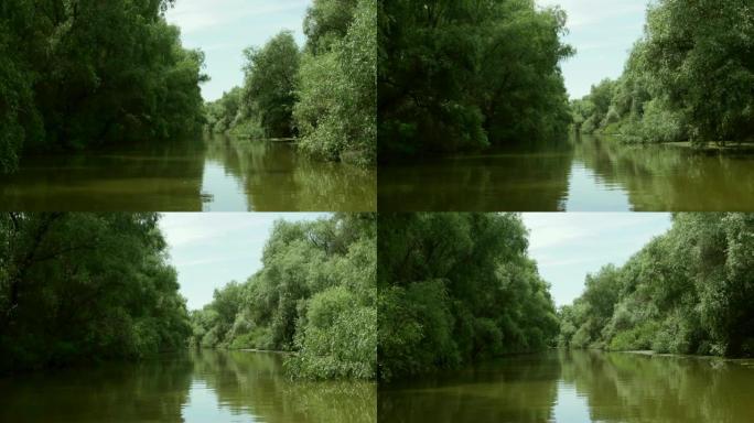 多瑙河三角洲森林湿地运动