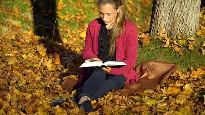 年轻漂亮的女孩坐在秋天的森林里的一棵树下。一个女孩正在看书。她细心周到。