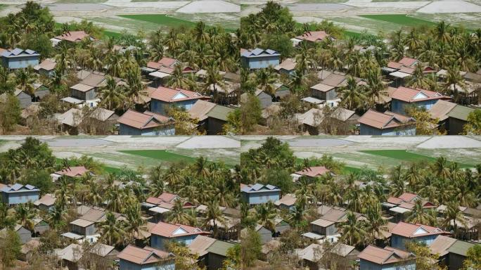 棕榈树周围环绕着农田的小乡村小镇的俯视图
