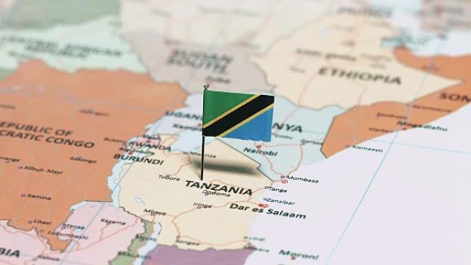 带有国旗的坦桑尼亚