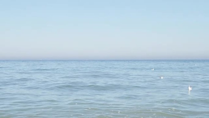 令人放松的海洋蓝色沙滩风景，海鸥和海浪4k
