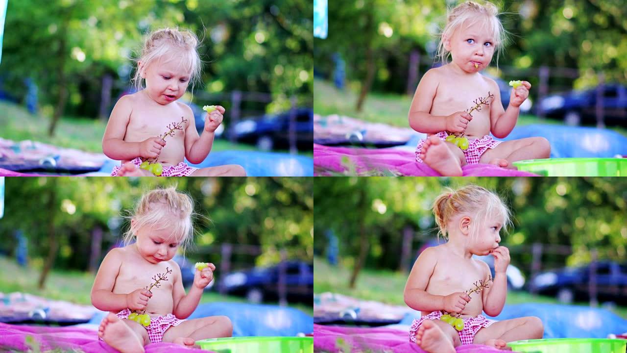 孩子吃水果。美丽的小女孩在家庭野餐时在公园里吃葡萄。健康饮食理念