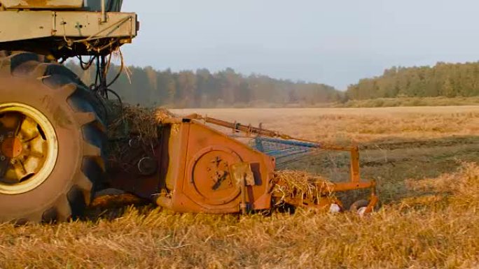 联合收割机在秋季田地切割燕麦穗