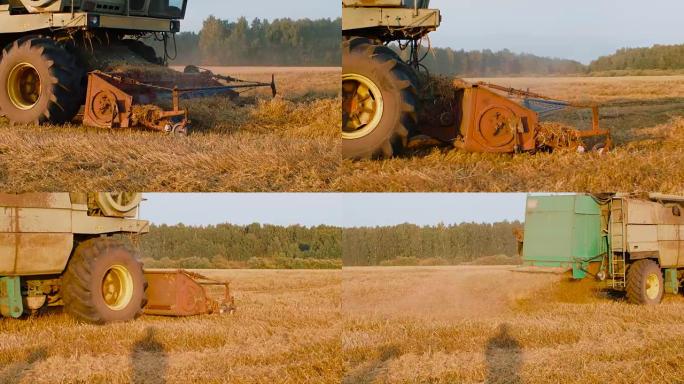 联合收割机在秋季田地切割燕麦穗
