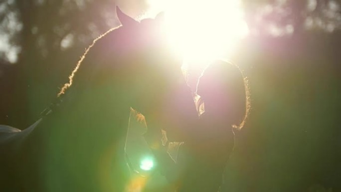 清晨，在宜人的夏日阳光中，一个女孩和一匹马在树林中散步的美丽轮廓