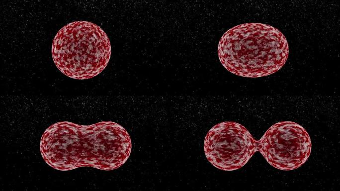 癌细胞分裂有丝分裂肿瘤细胞减数分裂3D动态细胞增殖囊肿淋巴瘤