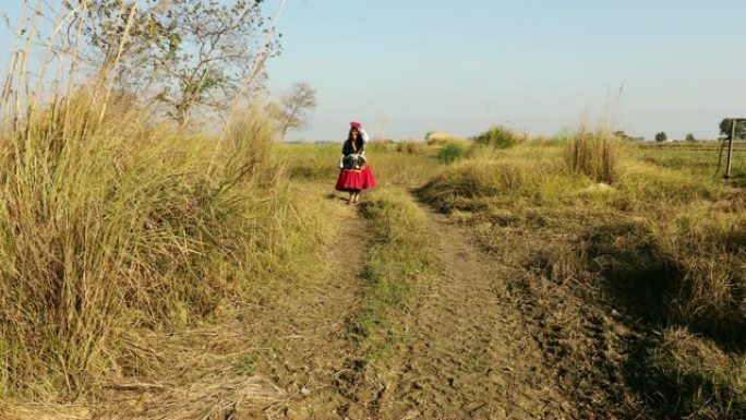 农村妇女在田间行走