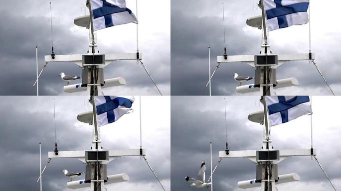 旗杆上的芬兰国旗和海鸥