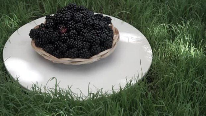 黑莓在篮子上的白色木制圆桌，旋转360度。美丽的草地背景。