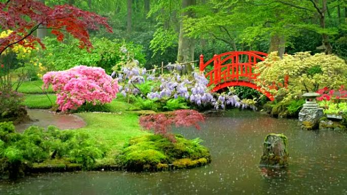 日本花园，公园Clingendael，海牙，荷兰