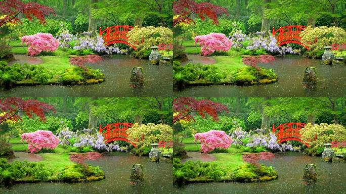 日本花园，公园Clingendael，海牙，荷兰