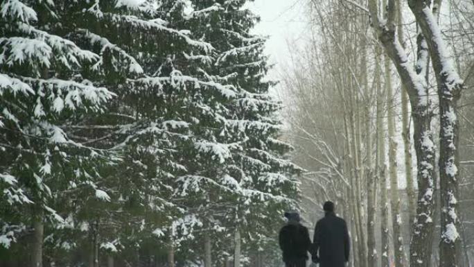 年轻夫妇在下雪天散步
