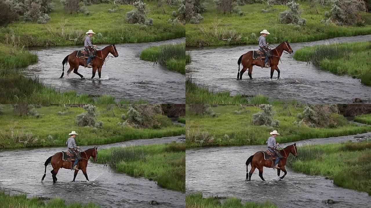 慢动作乡村牛仔和女牛仔穿越溪流