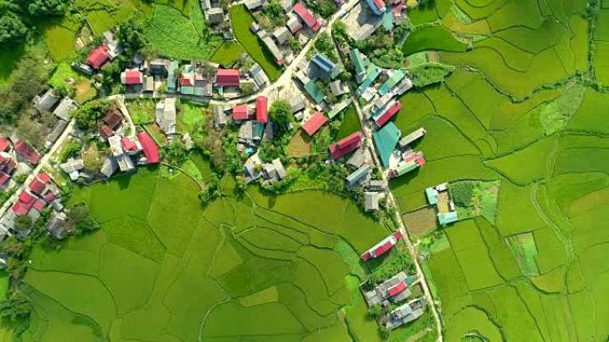 位于河江泉坝区潭山镇的无人机稻田鸟瞰图4k视频。