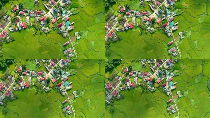 位于河江泉坝区潭山镇的无人机稻田鸟瞰图4k视频。