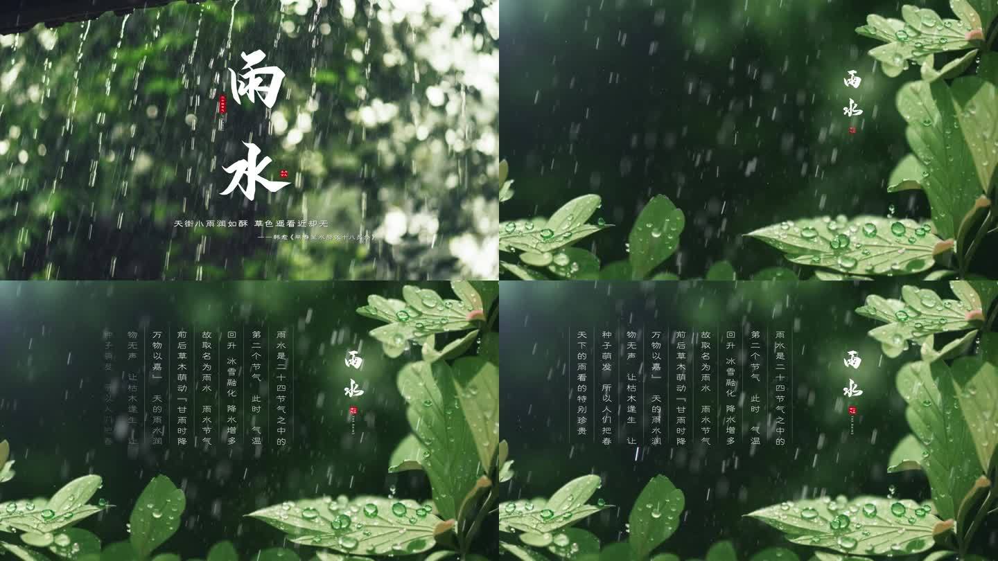 二十四节气——雨水