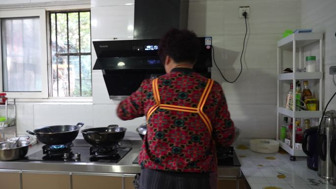 妈妈做饭 包饺子 鲅鱼饺子 农妇做饭