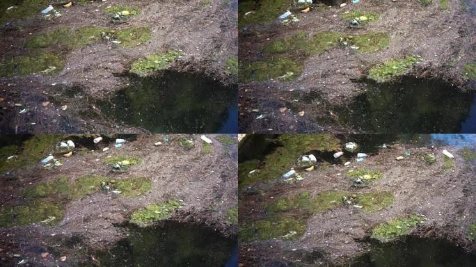 漂浮在水面上的垃圾和垃圾