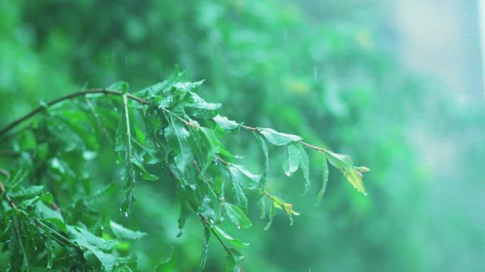 雨天雨水下雨忧愁情绪纪实空镜