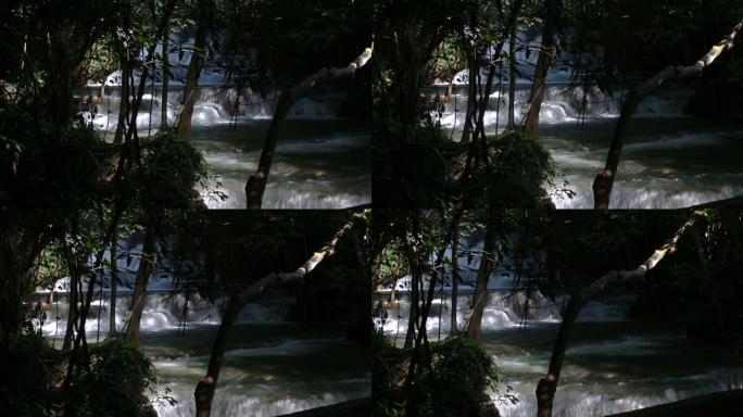 美妙的秋天森林中的惊人瀑布，雨林中的美丽瀑布