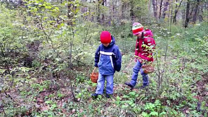 孩子们在森林里寻找蘑菇