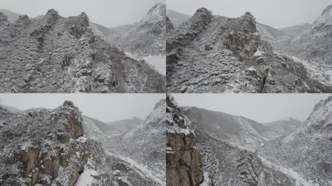 春雪 大通 风景 大山 树木 雪