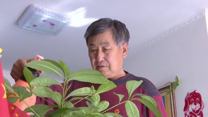 退休老人在家里接水浇花绿植修身养性